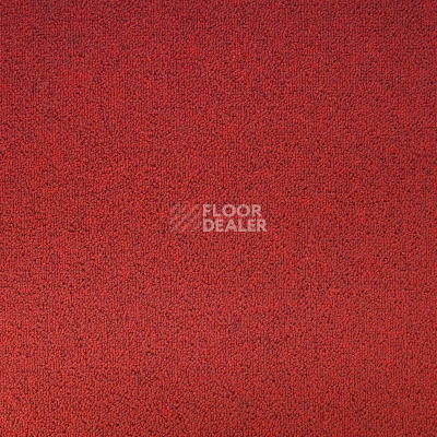 Ковровая плитка Tecsom Prima 00097 фото 1 | FLOORDEALER
